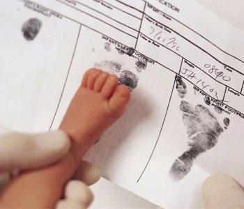 孕妇梦见鸭子什么意思，泉州代怀孕梦到鸭子是生男还是生女？